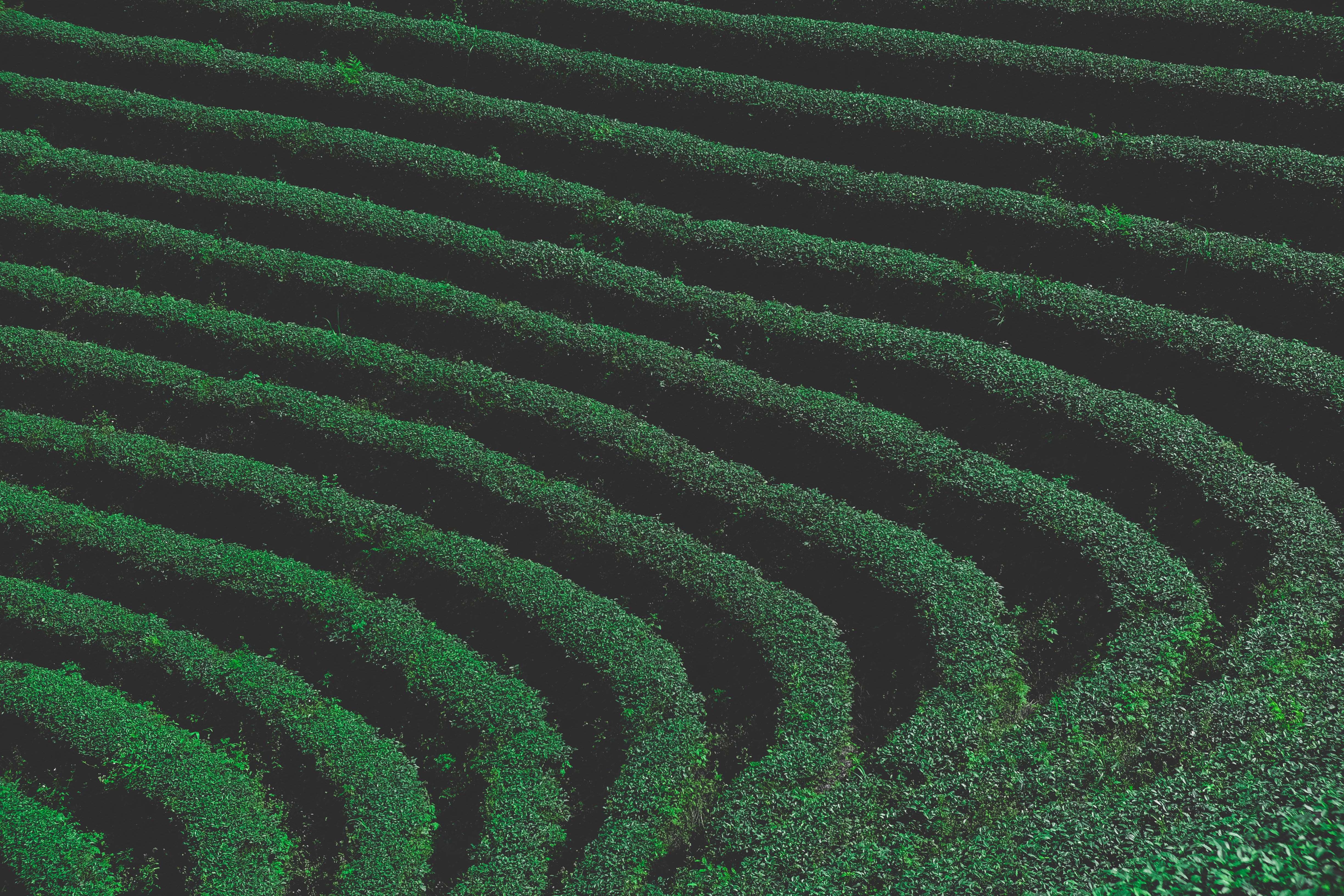 henry-co-CdE0f0zWIxM-unsplash